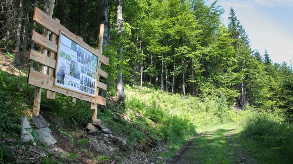 Pokoje W Oberzy Czarny Gron Rzyki Esterno foto